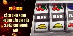 Cách chơi nohu - Hướng dẫn chi tiết 3 điều cho người mới